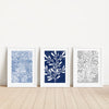 Blue and Grey Botanical Plant Prints