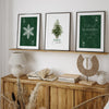 set of 3 green christmas prints