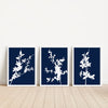 set of 3 blue botanical print