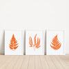 burnt orange fern prints set of 3