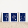 Navy Dandelion Flower Art Print Set of 3