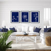 Navy Dandelion Flower Art Print Set of 3