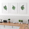 Sage Green and Black Botanical Print Set of 3