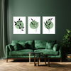 Sage Green and Black Botanical Print Set of 3