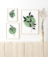 Sage Green and Black Botanical Print Set of 3